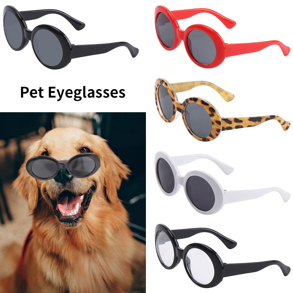 Fashioning Cat Glasses montatu - Photo Booth Frame recensione e prezzo